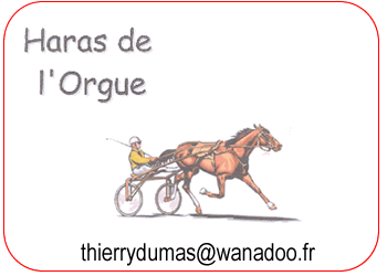 Haras Orgue